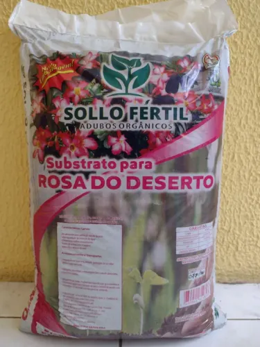 Substrato pra Rosa do deserto ?