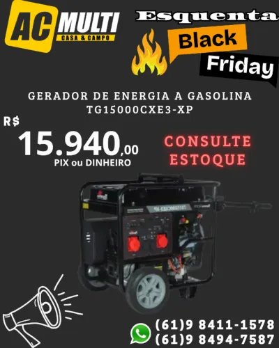 Gerador de Energia a Gasolina TG15000CXE3-XP