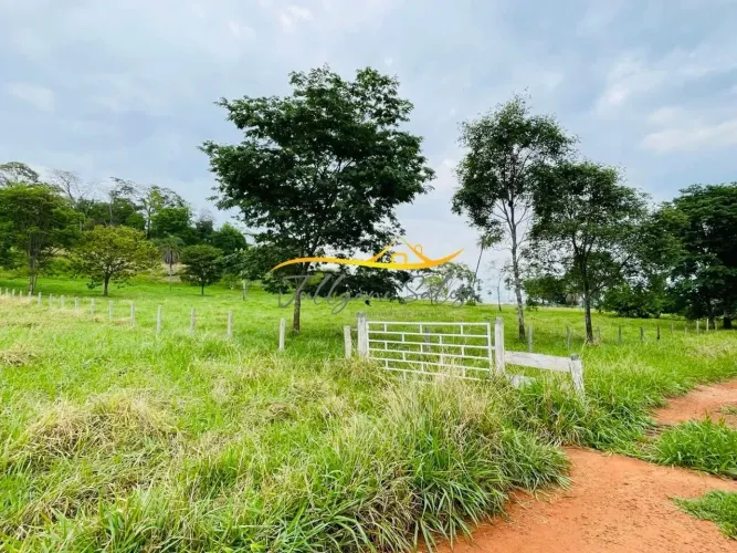 Fazenda/Rural venda 2 alqueires, casa, curral, lavoura Avelinopolis saida Trindade