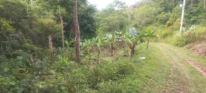 Chacara 10mil metros Itariri SP..molezinha