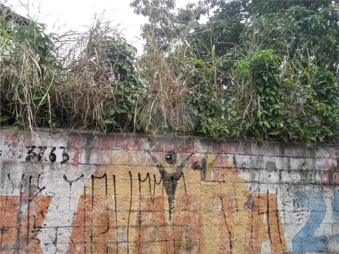 Terreno à venda em Barro branco (zona norte) - SP