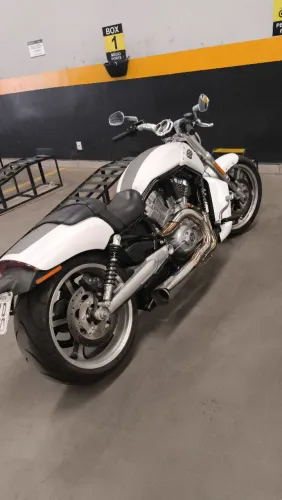 Harley v rod