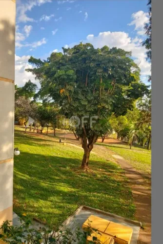 apartamento - Jardim do Vovô - Campinas