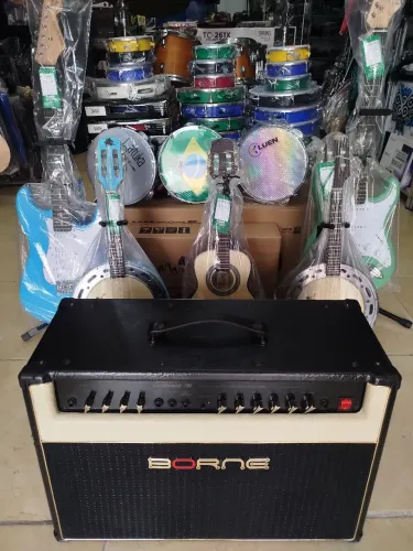 Ampli Borne Evidence 100 