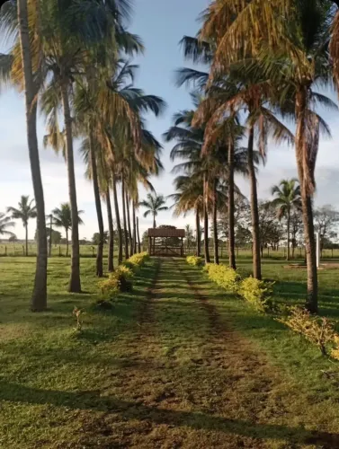 HARAS / FAZENDA DE ALTO PADRÃO À VENDA CAMPO GRANDE/MS Anhandui
