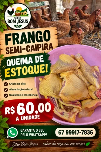 FRANGO SEMI CAIPIRA A VENDA LIMPO