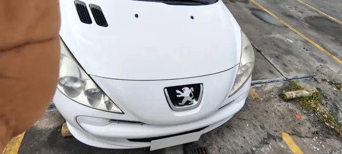 Peugeot 207 XR 1.4 Flex 8V 5P 2012