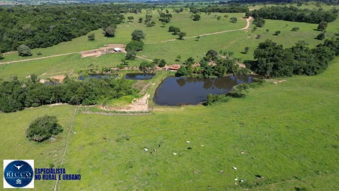 Chácara à Venda em Heitoraí-GO 10 Alqueires, Terra Fértil, Rica em Água