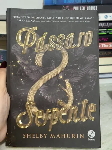 Livro ?Pássaro & Serpente? - Shelby Mahurin