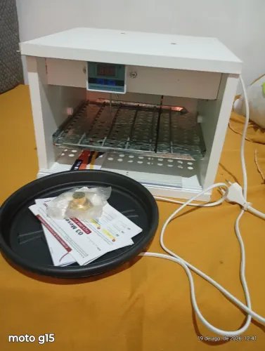 chocadeira de ovos