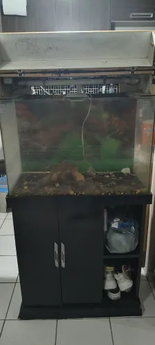 Aquário 100 Litros.
