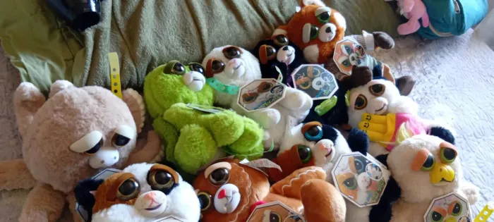 Vendo 12 feisty por 420
