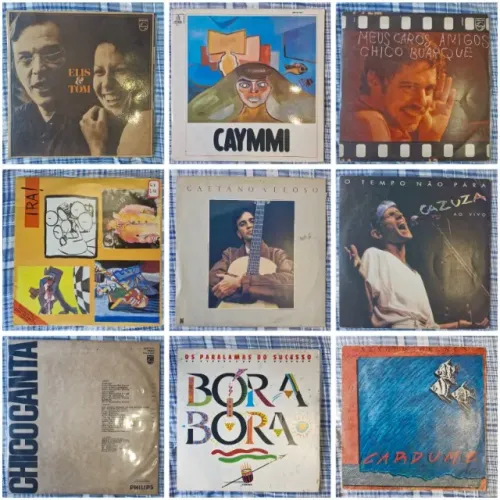 Discos de Vinil Nacionais LP (Chico Caetano Caymmi Elis Paralamas Ira Tom Raul Belchior)