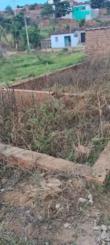 Terreno em aliança zap