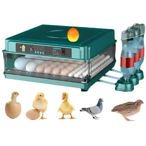 Chocadeira Automática Até 48 Ovos 220v