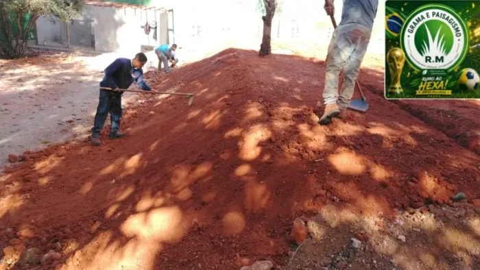 Grama Batatais Verde Forte Alta Resistência