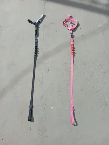 Coleira Peitoral e Guia para Cães, modelo Tombalatas, marca Zee.dog