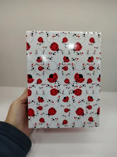 Caixa de Presente Decorativa - Estampa de Joaninha