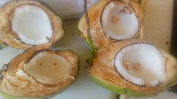 Polpa de coco