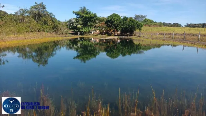 Chácara de 1 Alqueire à Venda em Trindade GO | Escriturada | Nascente