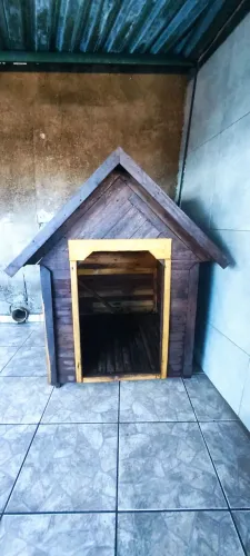 Casinha de Cachorro 