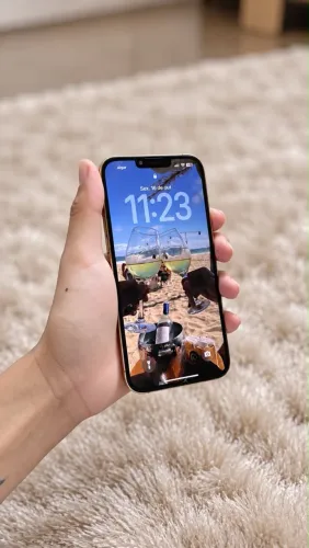 iPhone 13 Pro Max