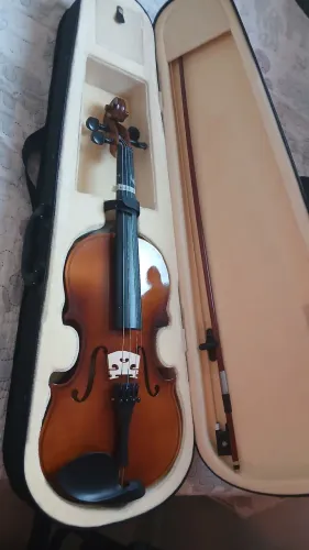 Violino