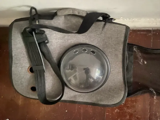 PET - Bolsa de Transporte