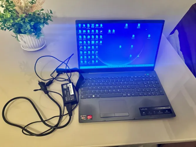 Sony vaio 25 ram