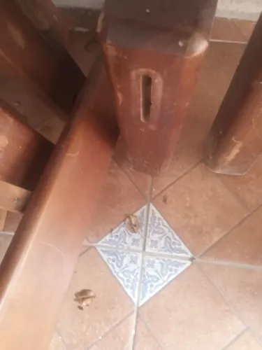 Cama de solteiro 