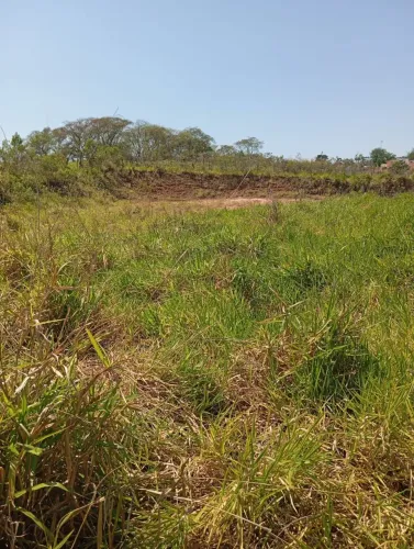 Terrenos a venda