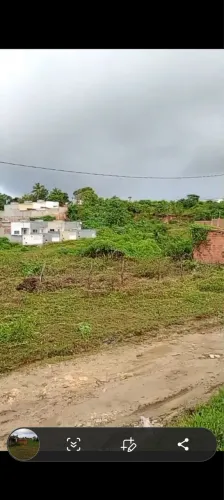 Terreno no Guajara 