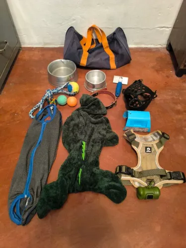 Kit Acessórios Pet (Bulldog Francês)