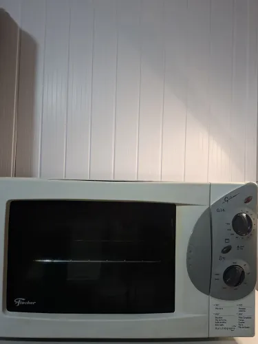 Forno Elétrico Fischer - Funcionando R$370