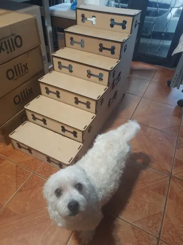 Escada pet