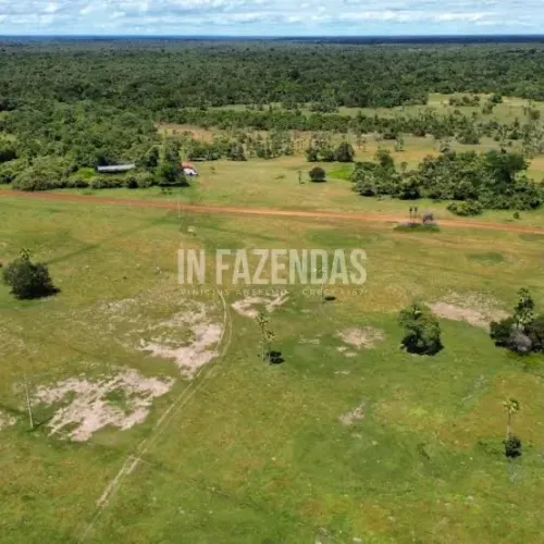 Terra/Fazenda de 123 Hectares à Venda em Plácido de Castro - AC | Excelente Área Rural