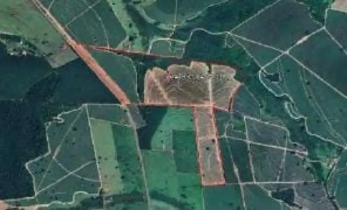 Área Rural | Tanabi | 28 Alqueires
