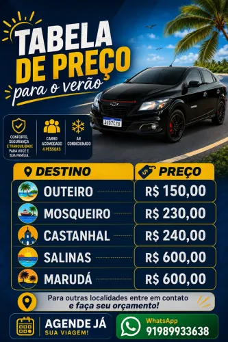 Motorista particular