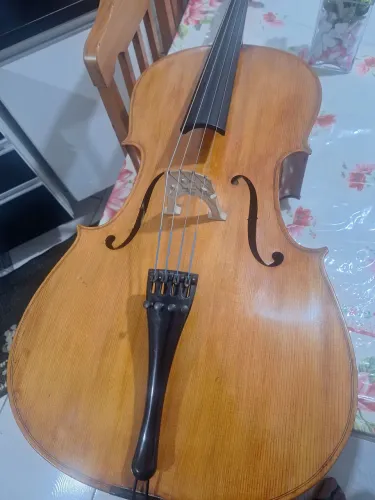 violoncelo eagle harmonizado por luthier 