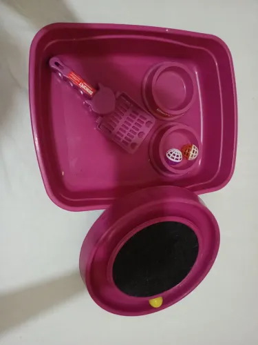 Kit para gato 