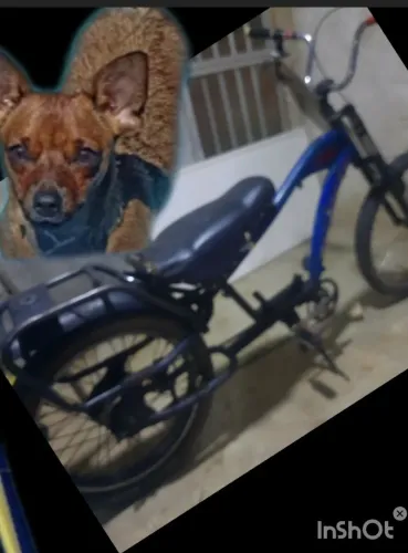 Otima Bicicleta shoper imperdível 