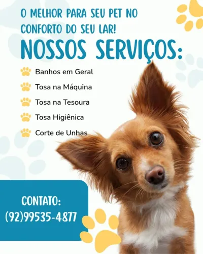 Banho e tosa em domicílio 