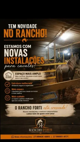 Baias para cavalos
