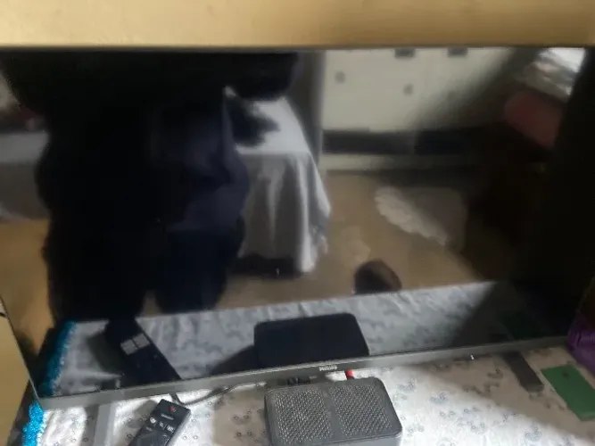televisão