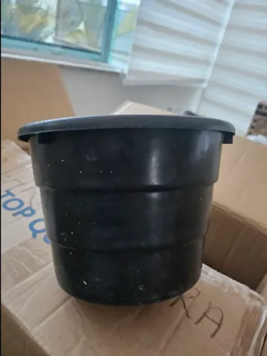 58 Vasos de planta de parede
