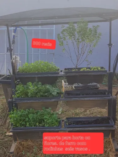Suporte para plantas de ferro com rodinhas .