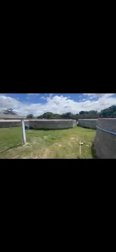 CRIATÓRIO DE TILÁPIA COMPLETO <br>