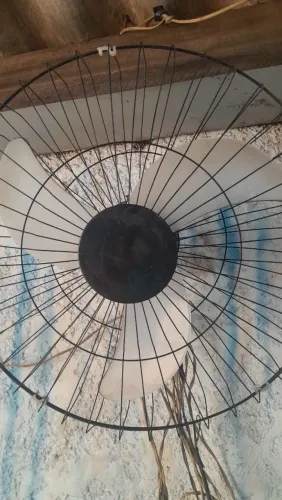 Ventiladores de parede 60cm 260,00 cada um, não entrego