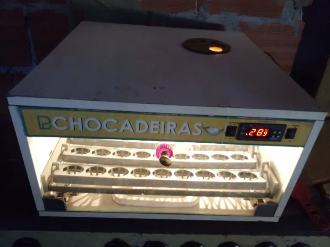Uma chocadeira 