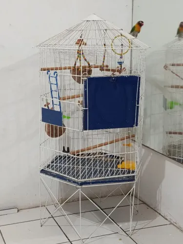 Grande bem espaçoso 